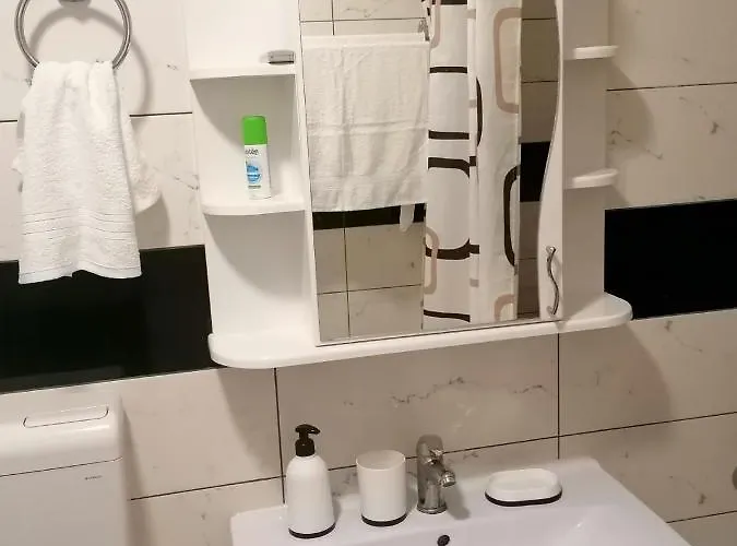 Dionis Sm סרמסקה מיטרוביקה